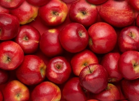https://shp.aradbranding.com/خرید و قیمت سیب استخوانی دماوند + فروش عمده